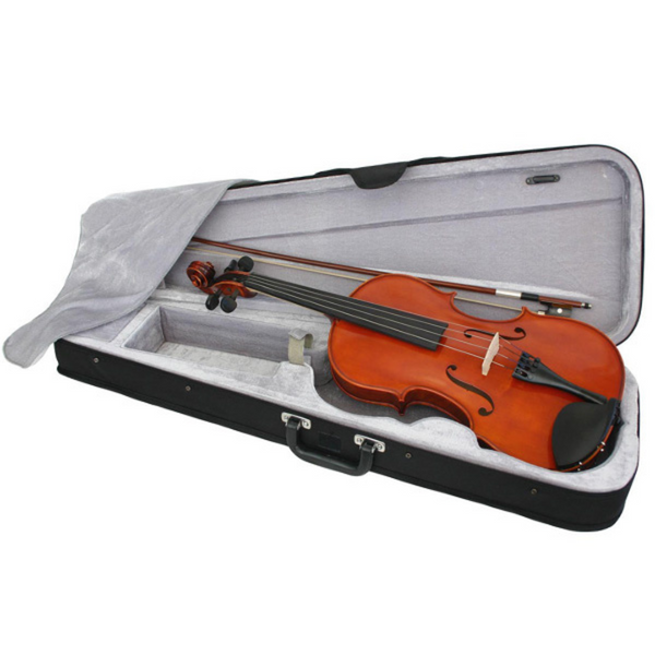 Enrico Student Extra Viola Outfit - 16in