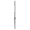LEBLANC STUDENT FLUTE IN C, CLOSED HOLE, SPLIT E
