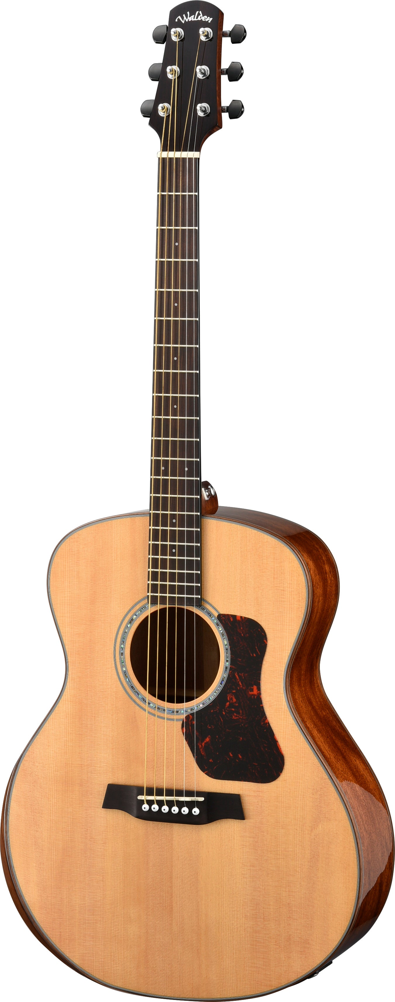 Walden G740RE-G/W Grand Auditorium, All Solid Spruce | Mahogany with w/pickup, arm rest and bag