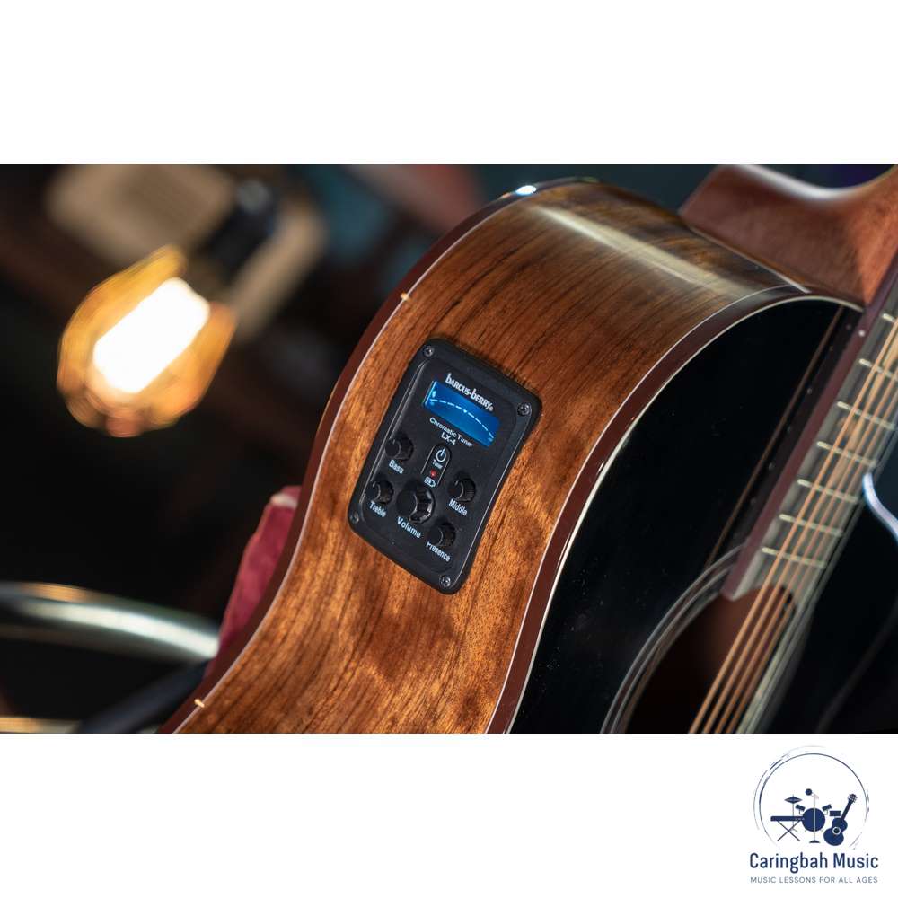 Washburn BTS9VCECH-D-U Bella Tono VITE S9V Cutaway Studio Acoustic Guitar