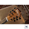 Washburn BTS9VCECH-D-U Bella Tono VITE S9V Cutaway Studio Acoustic Guitar
