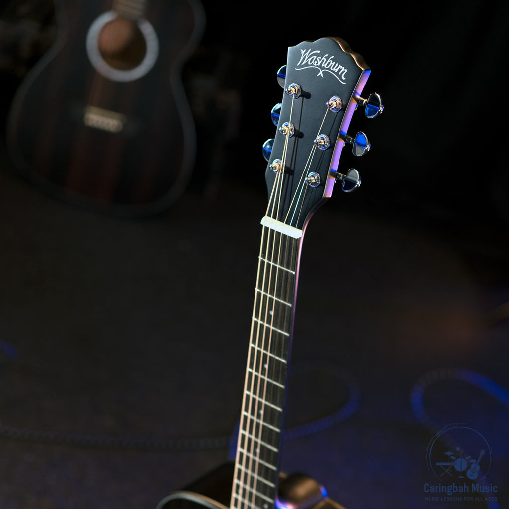 Washburn DFED-A-U Deep Forest Ebony D Dreadnought Acoustic Guitar