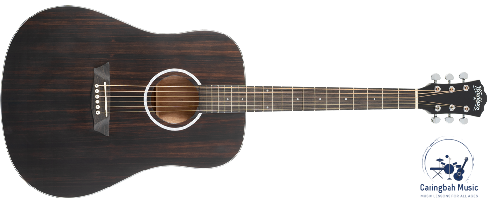 Washburn DFED-A-U Deep Forest Ebony D Dreadnought Acoustic Guitar