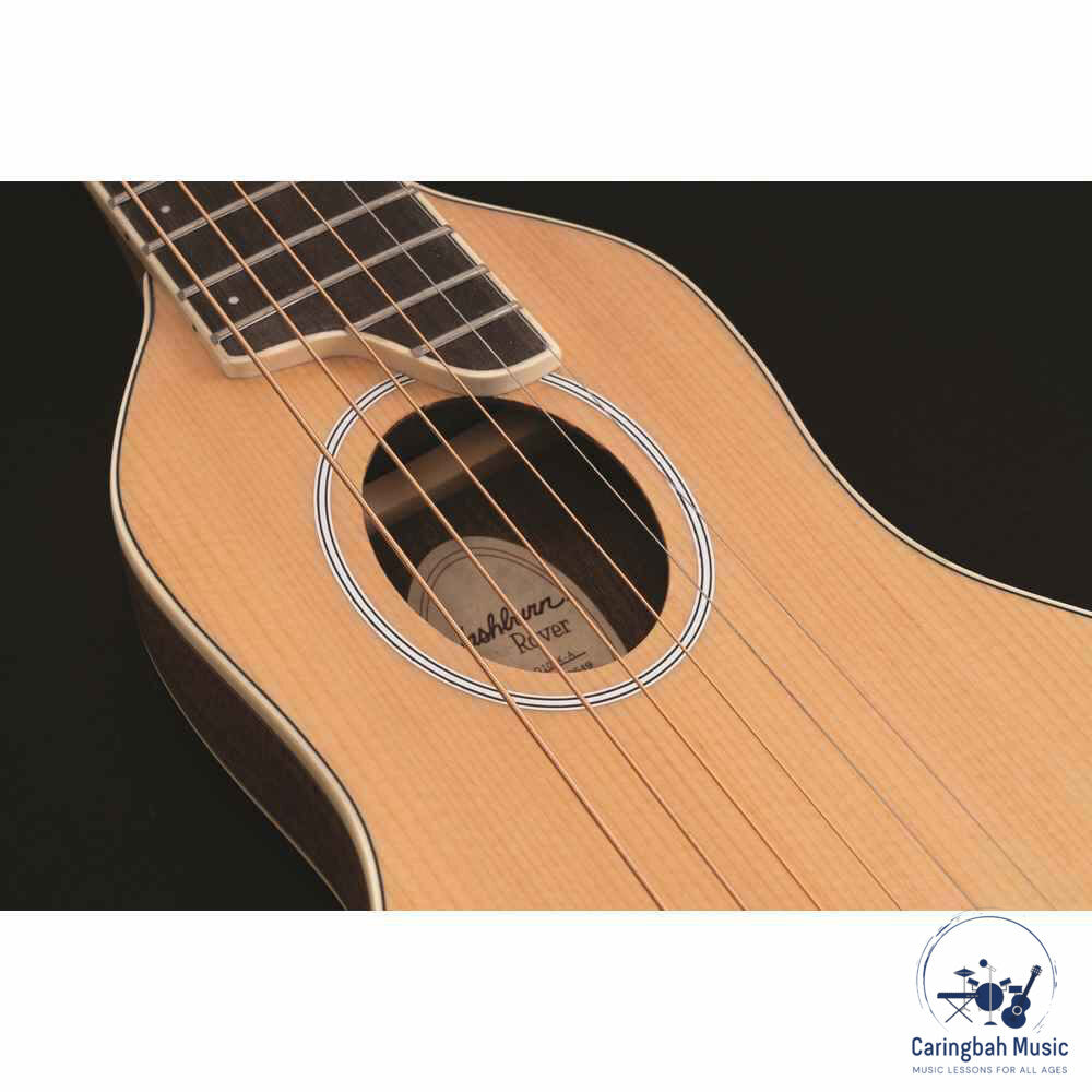 Washburn RO10SK-A-U Rover Travel Series Guitar, Natural